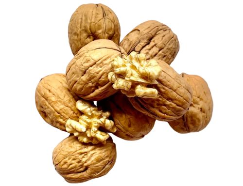 Chile Walnuts Inshell Akhrot